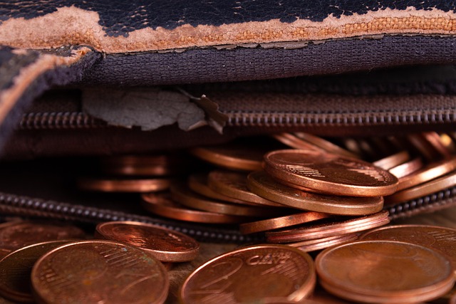 peněženka s mincemi